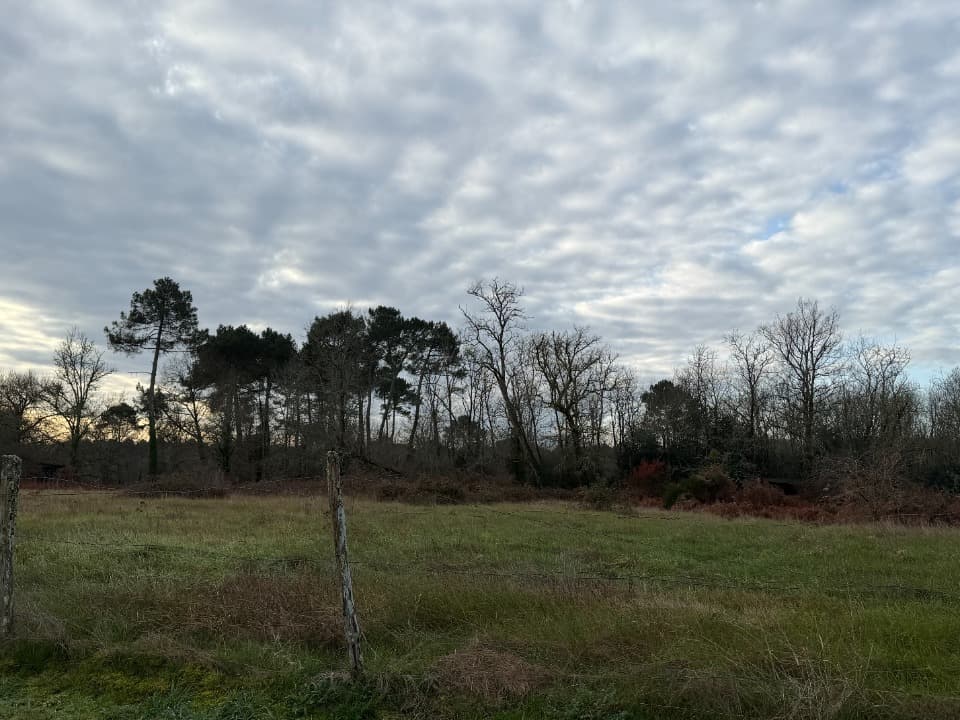 Terrain à partir de 540m² à Toulenne