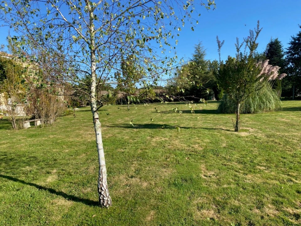 Vue principale du bien immobilier