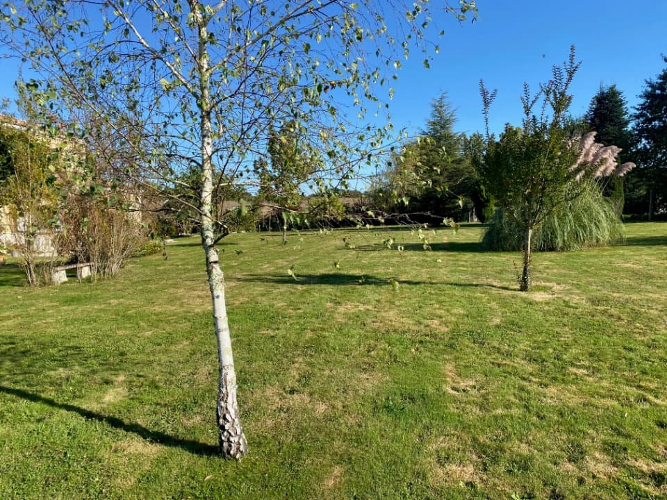 Terrain à partir de 2950m² à Faleyras