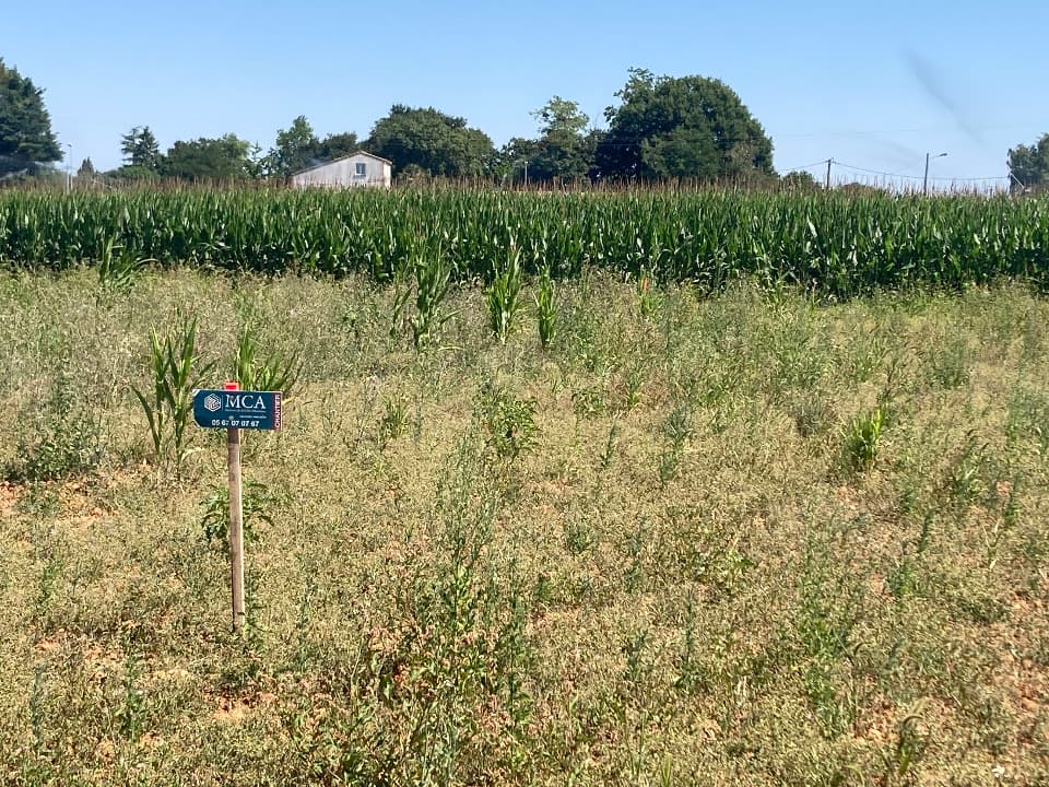 Terrain à partir de 552m² à Balanzac