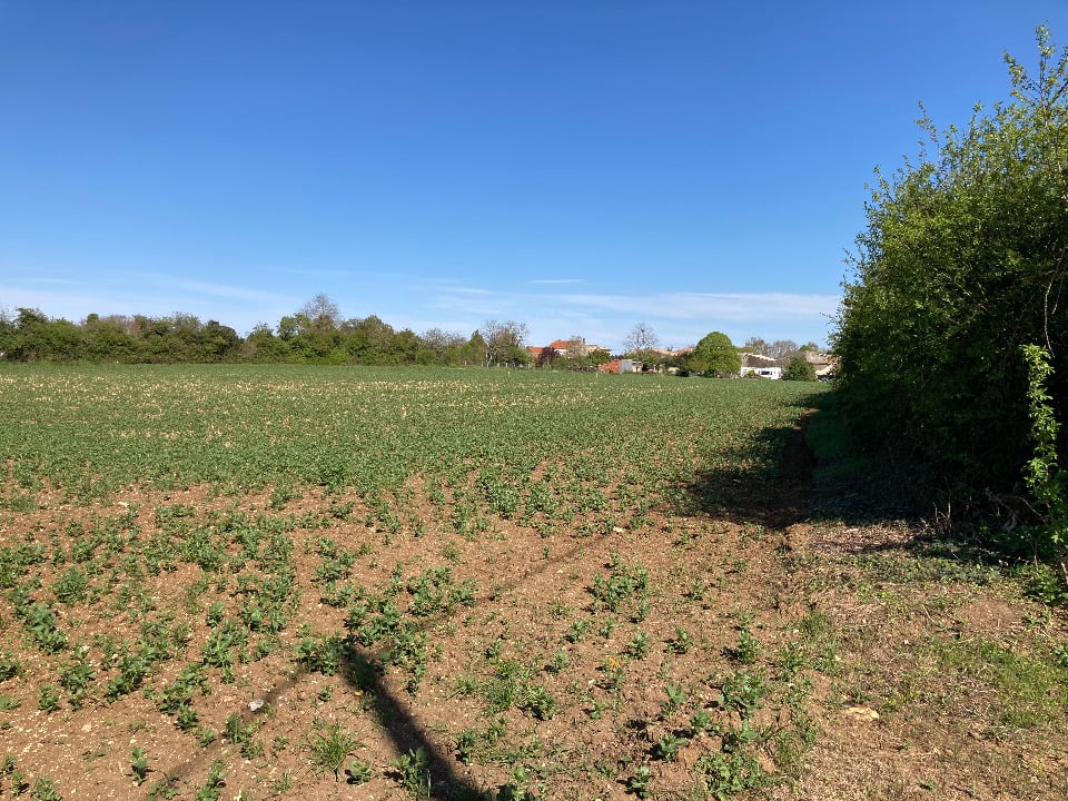 Vue principale du bien immobilier