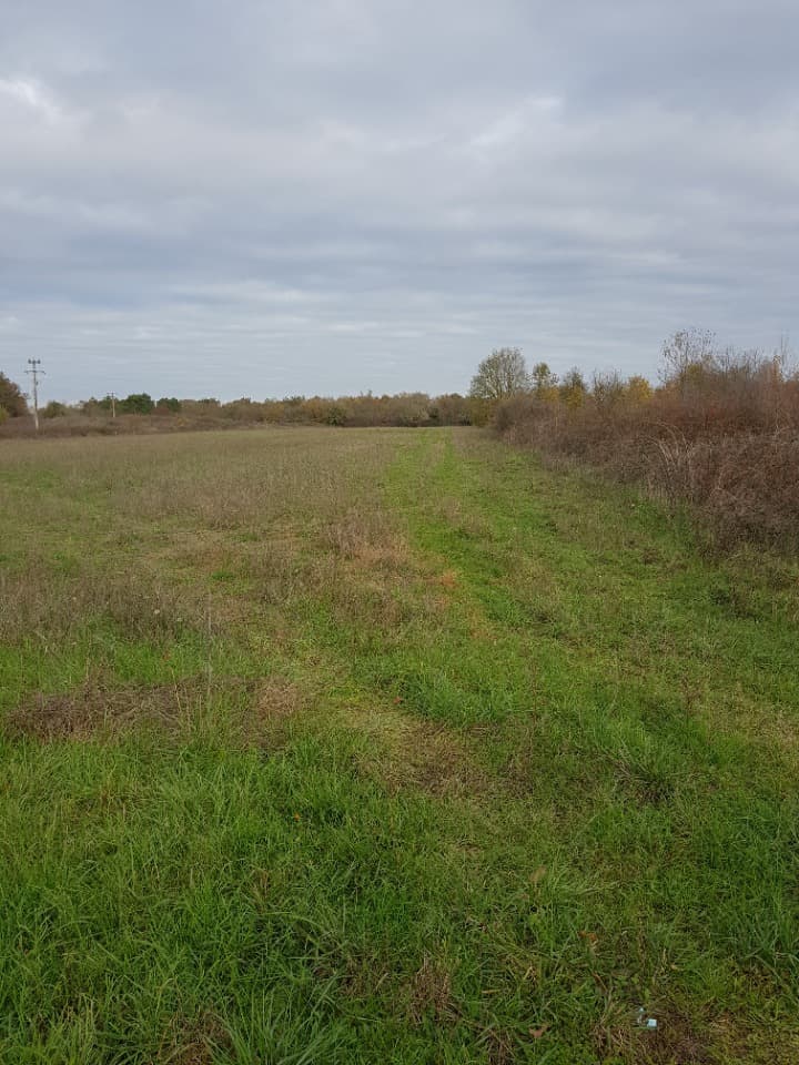Terrain à partir de 650m² à Saint-Ciers-d'Abzac