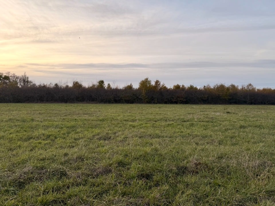 Vue principale du bien immobilier