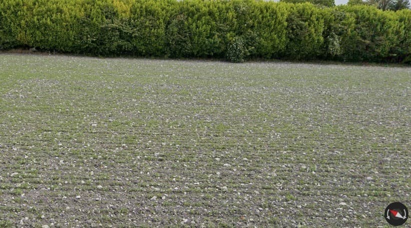 Terrain à partir de 600m² à Colombiers