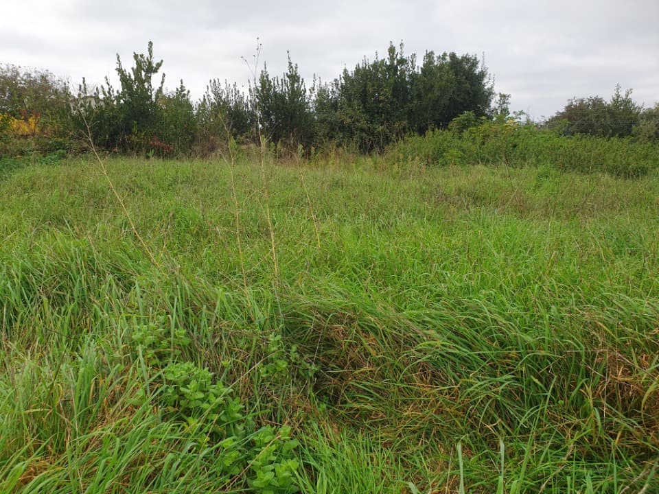 Terrain à partir de 1050m² à Gauriaguet
