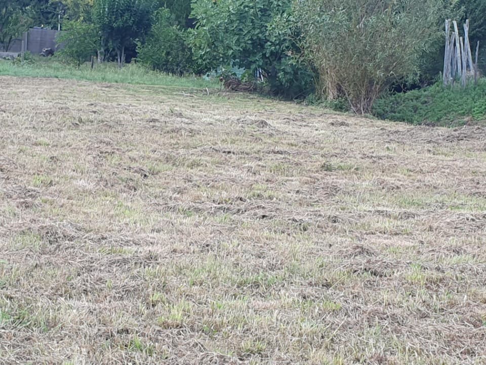 Terrain à partir de 1200m² à Saint-Romain-la-Virvée