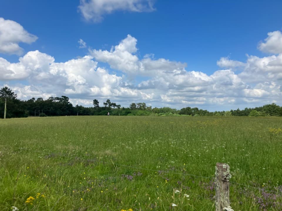 Terrain à partir de 700m² à Montlieu-la-Garde