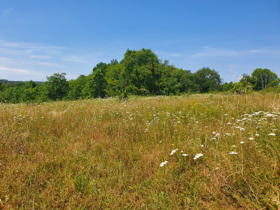 Terrain à partir de 320m² à Abzac