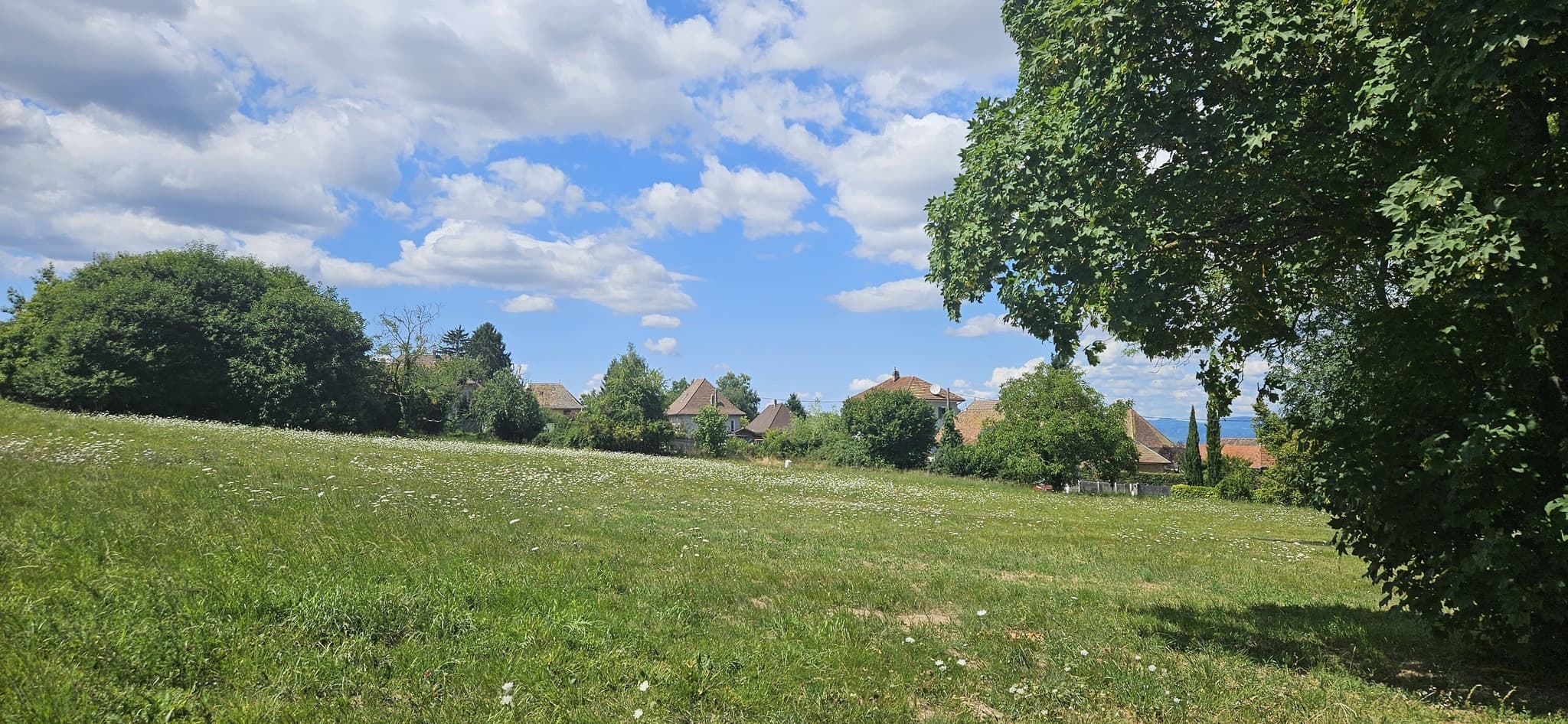 Photo 13 sur 22