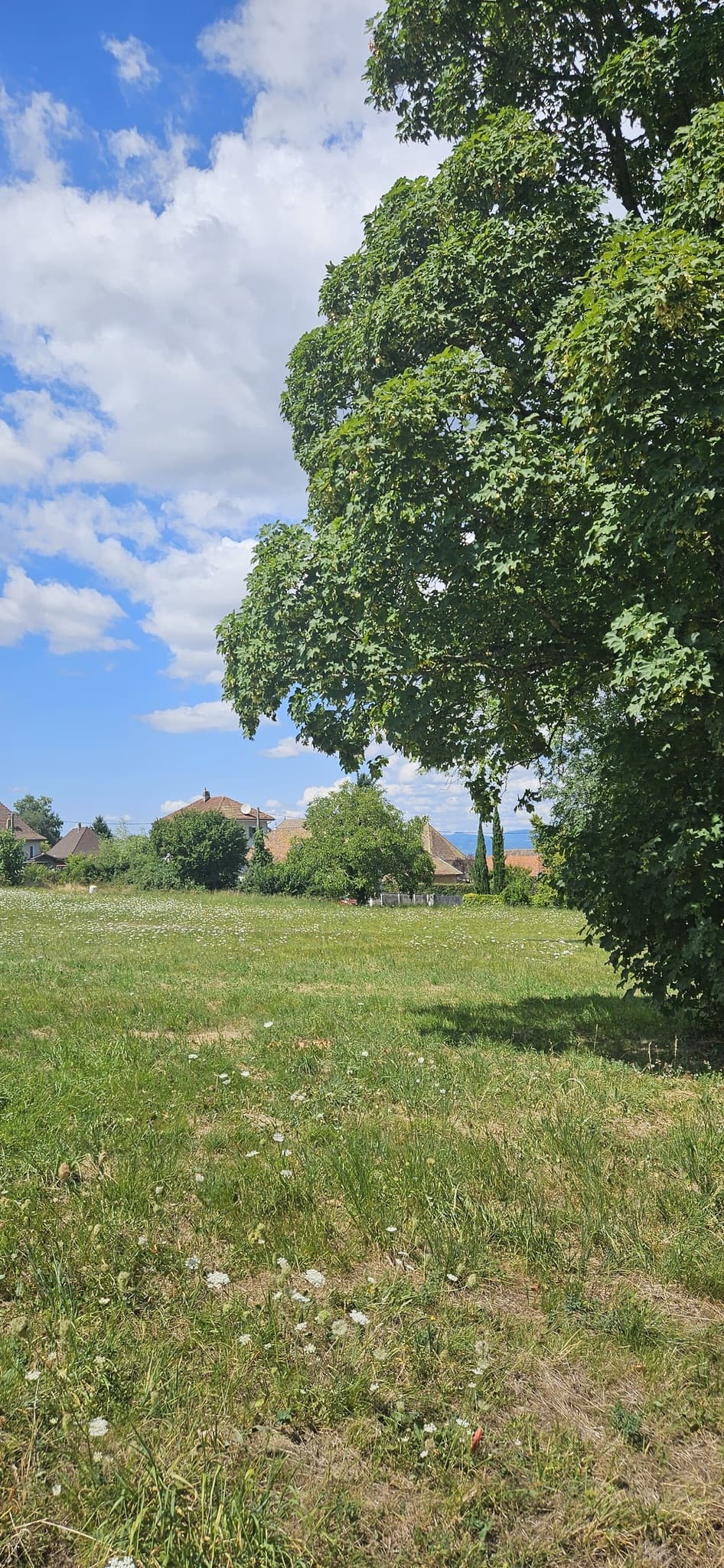 Photo 22 sur 22