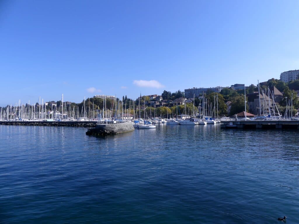 Photo 10 sur 14