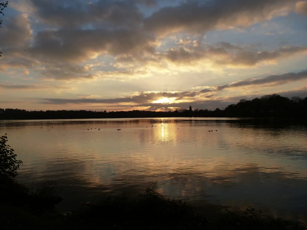 Photo 9 sur 13
