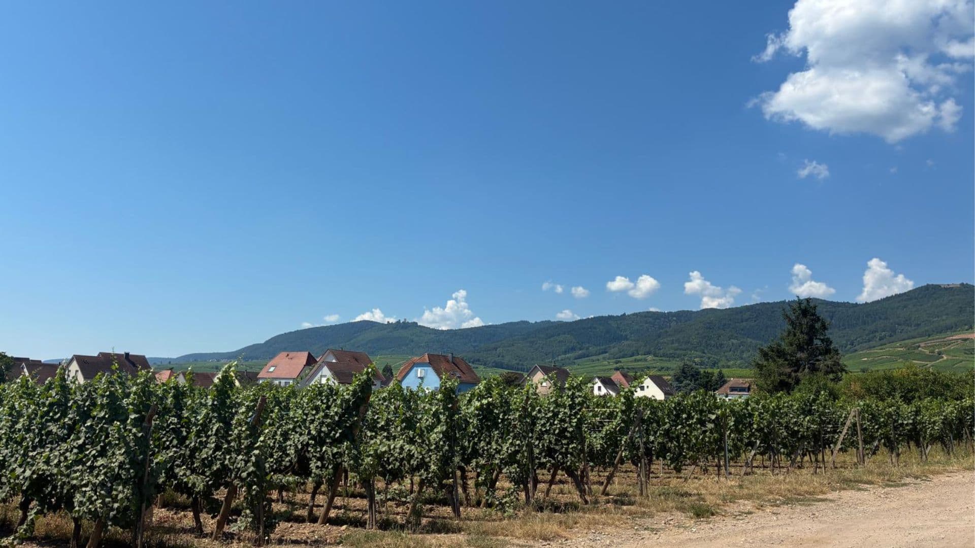 Vue du bien