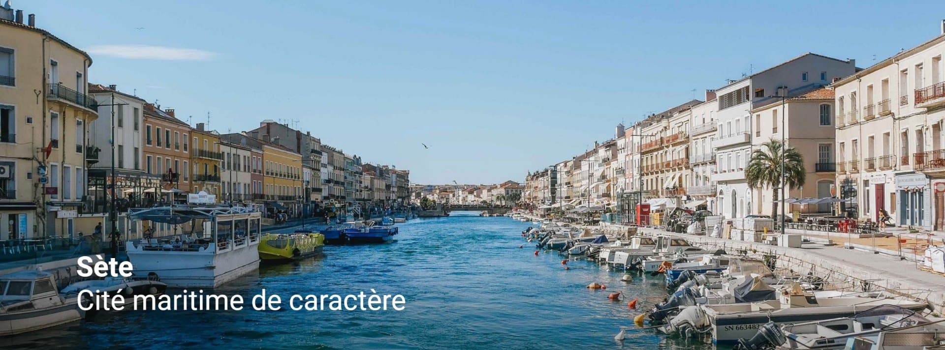 SETE SPECIAL PRIMO ACCEDANTS