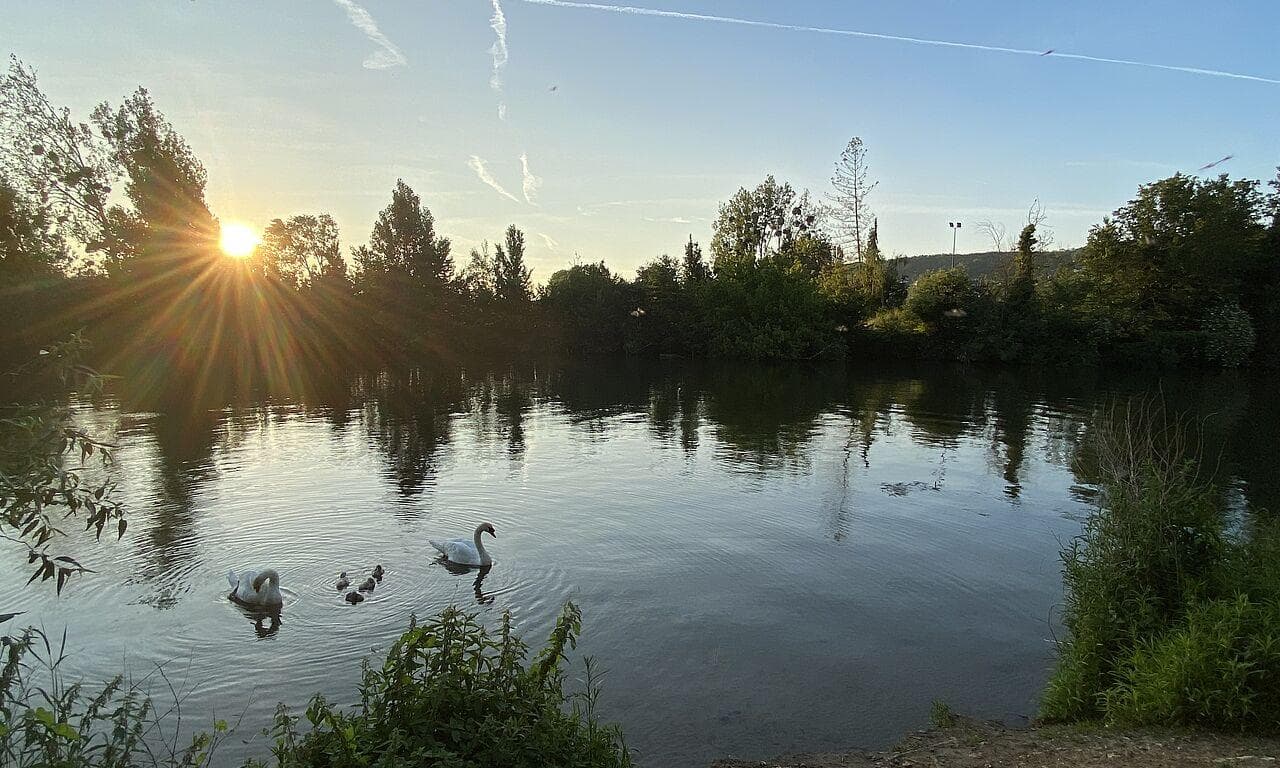 Photo 9 sur 10
