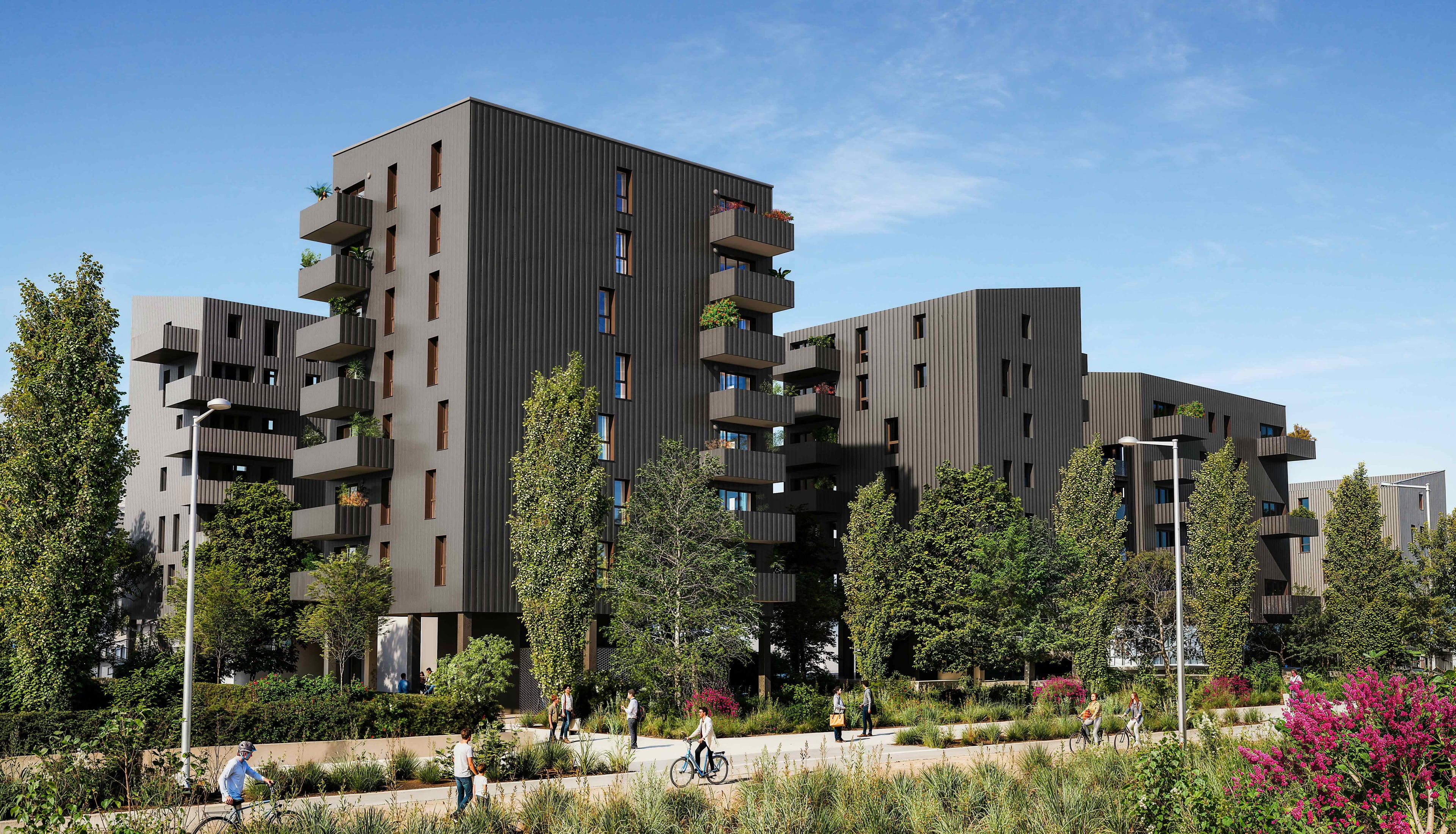 Image 1 sur 4 du lot